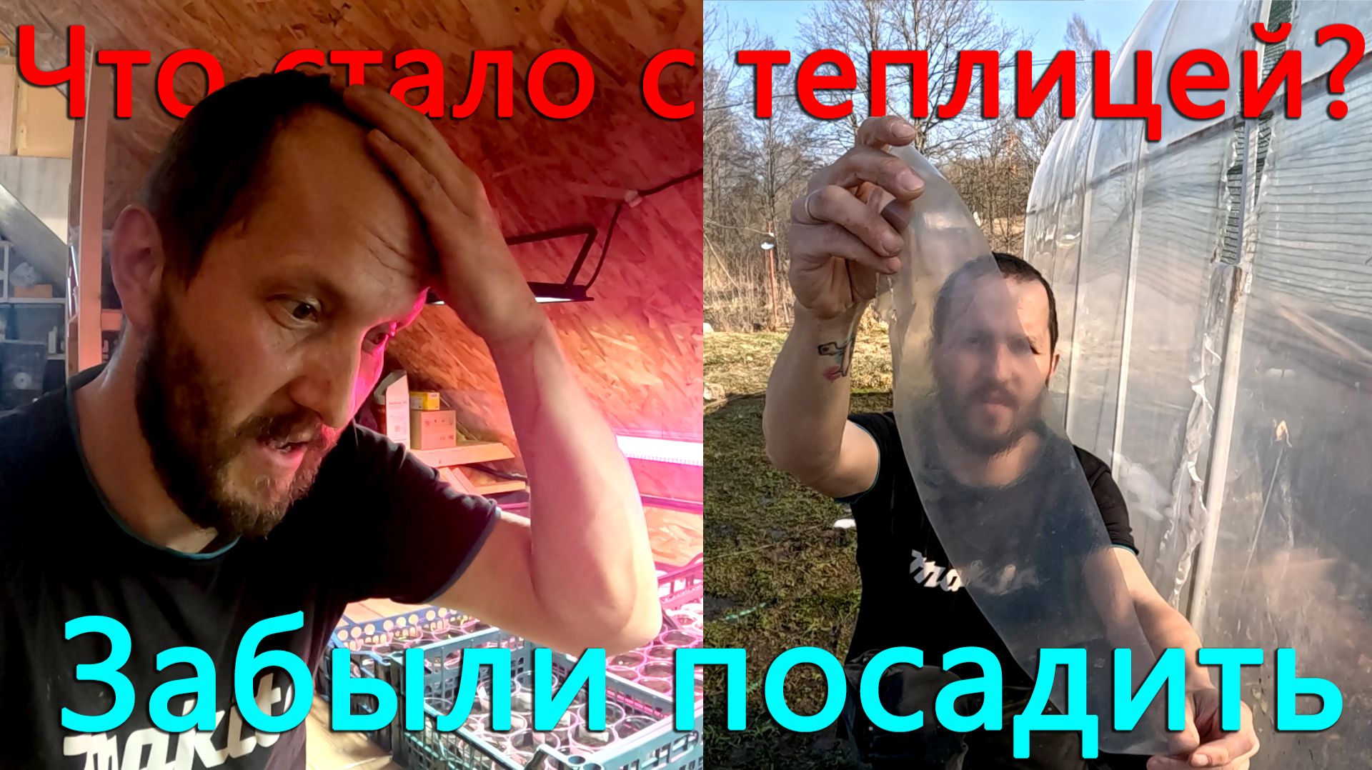 В этом году раньше засадили теплицу. Что стало с пленкой Светлица за пять лет эксплуатации?
