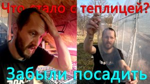 В этом году раньше засадили теплицу. Что стало с пленкой Светлица за пять лет эксплуатации?