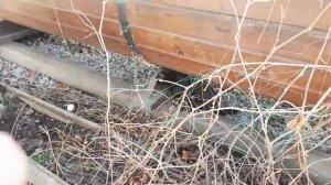 прогулка😅