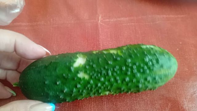 1000015992.mp4 Это у нас такие тараканы?