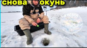 Хороший окунь на карьере