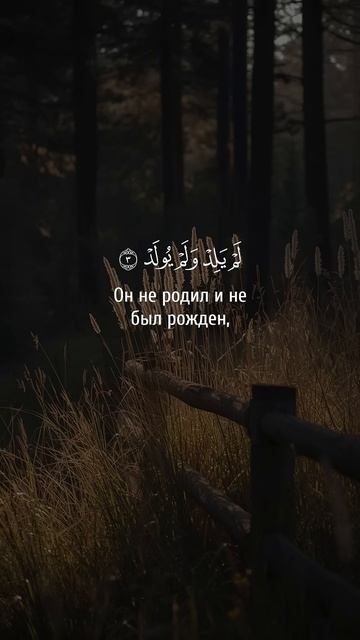 Идрис Абкар. Сура 112 Аль-Ихляс