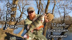 БОКОВОЙ+СПИНИНГ+ФРИРИГ 1-2 ГР 12 РЫБ!РЫБАЛКА ДОННЫЙ ВИД ЛОВЛИ ОКУНЬ МИКРОДЖИГ