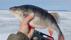 ПОСЛЕДНИЙ ЛЁД И ЗАКРЫТИЕ СЕЗОНА ... КТО ИЩЕТ ТОТ ЛОВИТ...