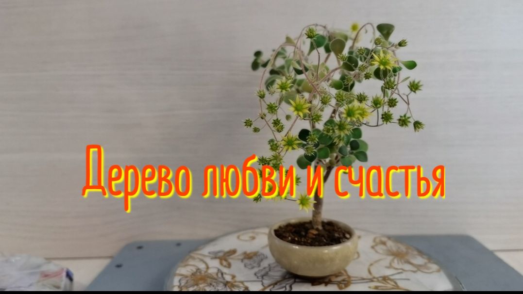 Дерево любви и счастья.