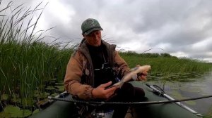 Думал хоть плотвичку половить А ТУТ ПРОСТО КОНИ Рыбалка на поплавок!