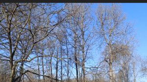 1.04.2026. Прогулка в солнечный  денёчек 🌞🌞🌞