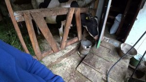 Влог от 21.06.2022