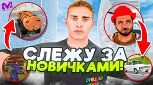 БУДНИ АДМИНА на МАТРЕШКА РП - СЛЕЖУ ЗА ЧАЙНИКАМИ на МАТРЕШКА РП!