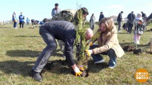 "Сады памяти". Никто не забыт! Доброе утро. Фрагмент выпуска от 01.04.2026