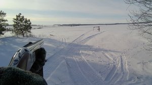 Охота на зайца 17.01.26