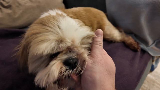 Тестирую самый дешёвый робот-пылесос