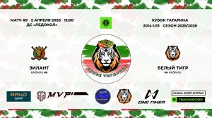 КУБОК ТАТАРИНА 31 марта - 2 апреля матч 9 «Зилант» г. Казань - «Белый тигр» г. Казань
