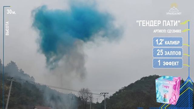 Гендер Пати (синий,розовый)