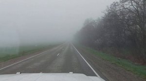 Сборник выездов в Анапские леса.