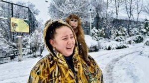 МЫ УХАХАТАЛИСЬ! Как Анфиса об меня РУКИ ВЫТИРАЛА😅