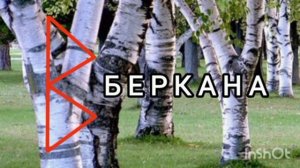 Б Е Р К А Н А. Моя Виса.