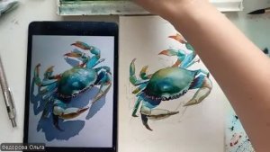Акварель. Крабик