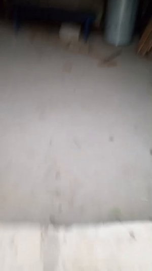 музыка на зпброшке на щаказ