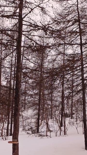 Вышла на охоту.