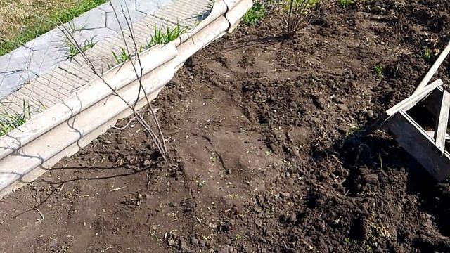 домашние заботы