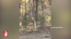 17-летняя челябинка заявила об извращенце в парке Гагарина