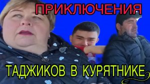 ПРИКЛЮЧЕНИЯ ТАДЖИКОВ В КУРЯТНИКЕ. ОЛЬГА УРАЛОЧКА LIVE. ОБЗОР.