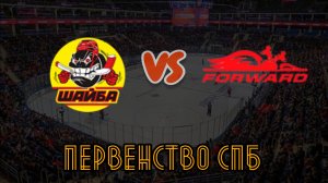 Шайба 13 - Динамо Форвард 13