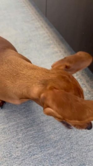 Это потому что я капусту люблю😁))