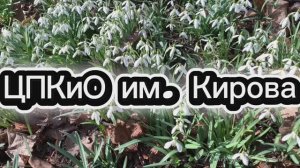 ЦПКиО им. С.М.Кирова на Елагином острове в Санкт-Петербурге. Мини-зоопарк