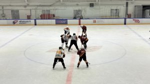 Соревнования по хоккею