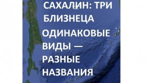 Эти три мыса на Сахалине выглядят одинаково — в чём их секрет?