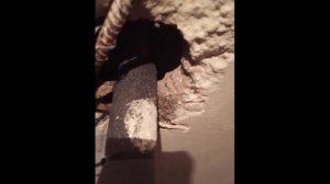 Вслушайся Кто то дышит и скребётся Звук на всю Listen carefully Someone is breathing and scratching