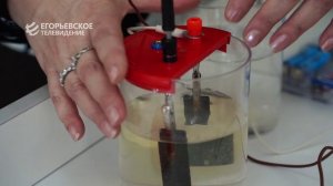 В рамках народной программы Единой России в Егорьевске обновляют образовательные пространства