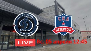 05.03 12:45 ДИНАМО-ЮНИОР 14 - СКА ПЕТЕРГОФ