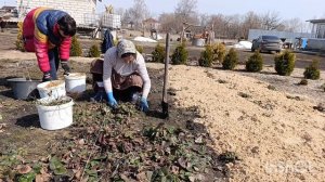 Сельские будни матушки.Весна❗Как долго мы тебя ждали 😂