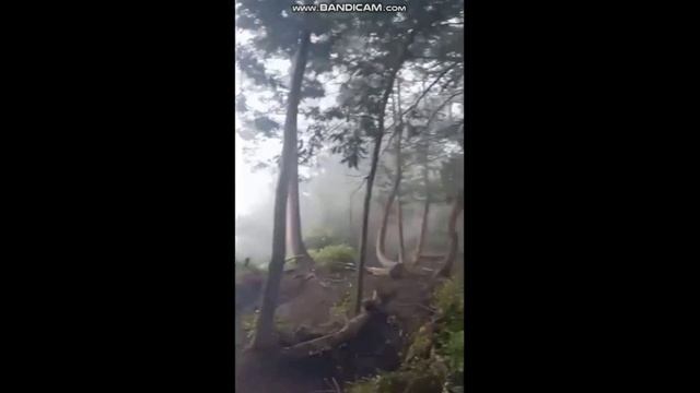 Реальные приведения снятые на камеру. Призрак под лестницей, в лесу. Ребенок играет с призраком