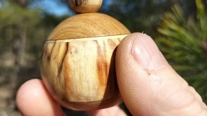 Шкатулка в апрельском лесу на сосновой лапе