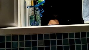 спалил причёску