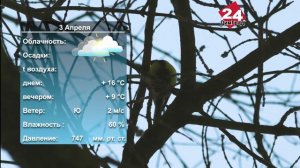 Погода на завтра. 02.04.2026