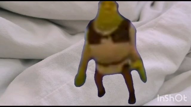 Шрек танцует у меня дома