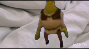 Шрек танцует у меня дома