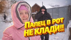 КУПИЛИ ДОМ В ДЕРЕВНЕ | ПАЛЕЦ В РОТ НЕ КЛАДИ | Дом в деревне | Семья в селе
