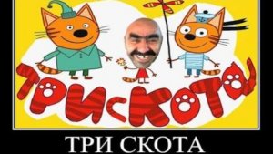 три кота угар