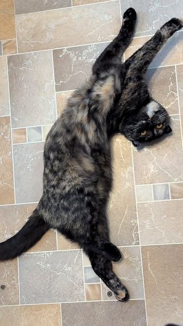 Балерина Капучино