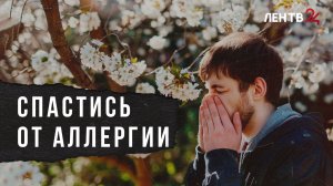 В Ленобласти начался сезон пыления растений. Что поможет аллергикам?