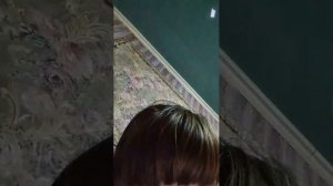 отвечаю на вопросы