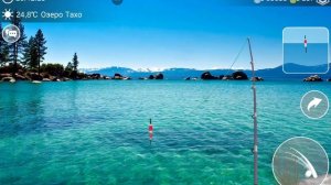 как ловить Зеркального карпа и Сазана в игре My Fishing World