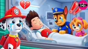 Щенячий патруль и Маршалл. Залипательное видео. Мультфильм для детей и малышей. Анимация 351