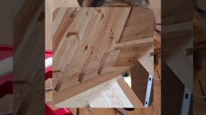 1000054557.mp4 (Собака наблюдает за устройством лестницы на 2-ой этаж в доме А-фрейм)